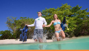 cairns reef tours local discount